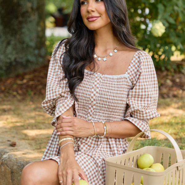 Tailored Grace Brown Gingham Mini Dress