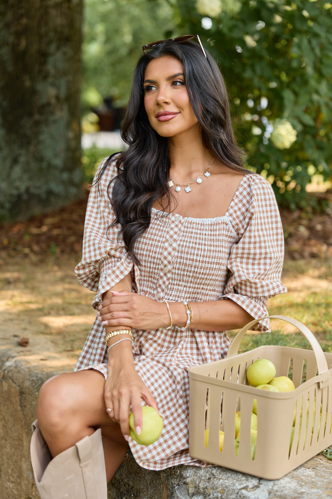 7-29_Shiftinseasons_HB_07-29-26_28795_220918.png Tailored Grace Brown Gingham Mini Dress
